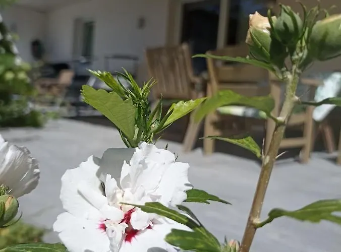 Beim Orgeler Διαμέρισμα